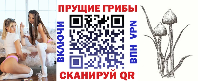Псилоцибиновые грибы прущие грибы Краснодар