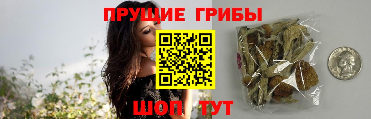 Галлюциногенные грибы Cubensis  Краснодар 